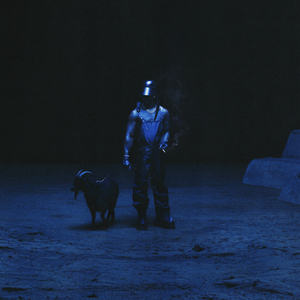 日本最新黄色网页
