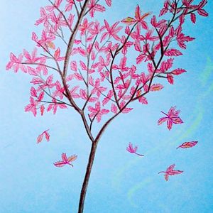 日本最新黄色网页
