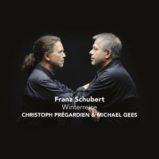 日本最新黄色网页
